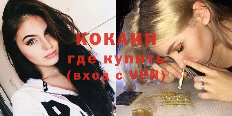 где продают   Вяземский  Cocaine Fish Scale 